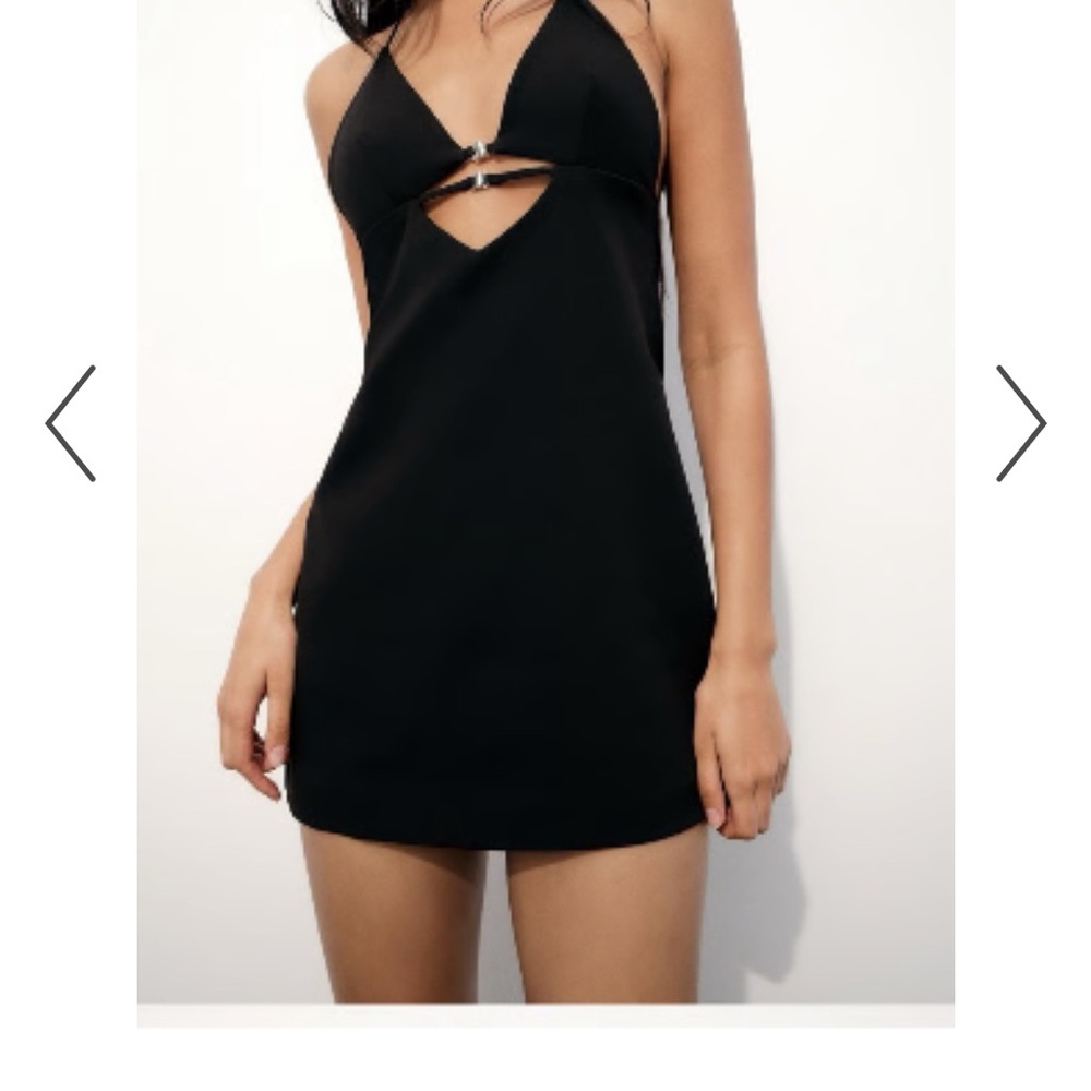 Zara Buckle Dress